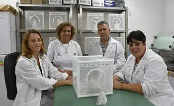 Dengue: buscan alterar el ADN de mosquitos e impedir su reproducción | Dengue