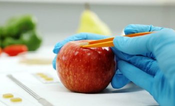 Desarrollan método para detectar plaguicidas en frutas y vegetales | Agrotóxicos