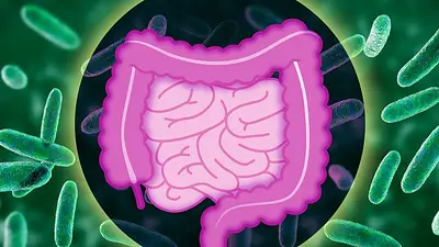 Microbiota intestinal: las claves para el desarrollo saludable en bebés Microbiota intestinal: las claves para el desarrollo saludable en bebés