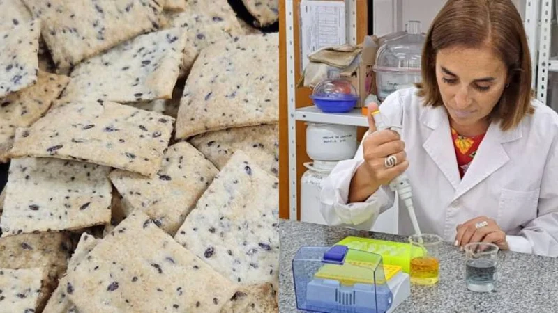 Alimentación saludable