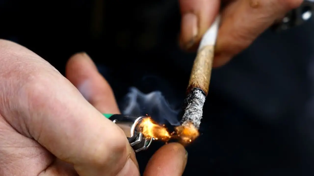 Alerta: el consumo de cannabis en la adolescencia aumenta el riesgo de esquizofrenia según reveló un estudio