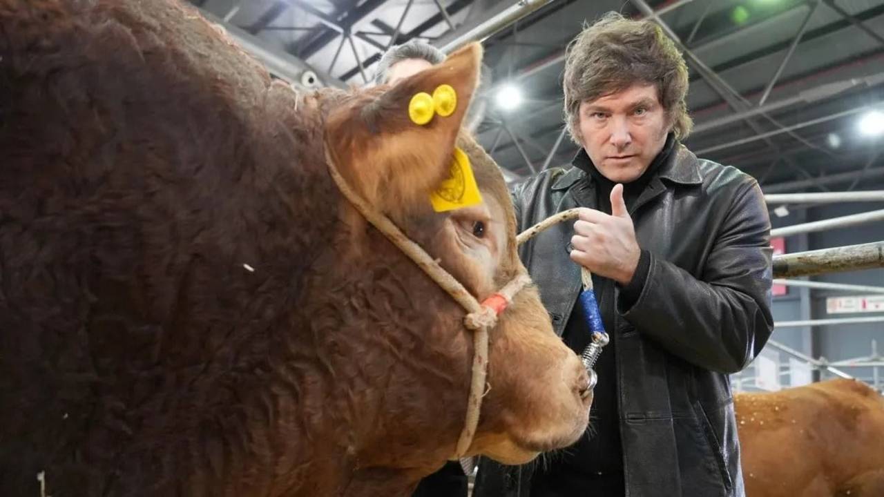 Elecciones 2023: Milei aprovecha la grieta PRO y busca ser el candidato del campo
