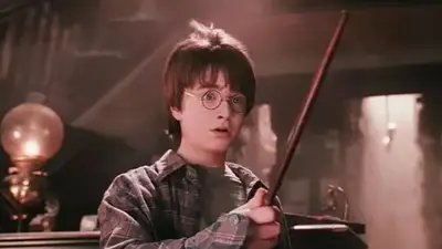 Harry Potter. Harry Potter.