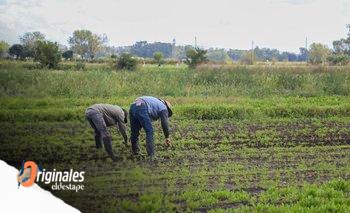 Agricultura familiar: puntos centrales de la reglamentación que demoró casi una década | Pequeños productores
