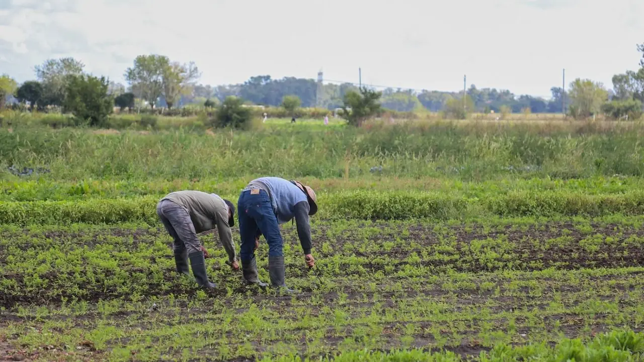 El eje Argentina, Rusia, Kazajstán y China en el dominio de las tierras negras