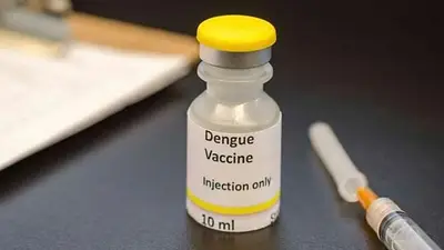 Vacuna contra el dengue: cómo funciona y cuál es su efectividad Vacuna contra el dengue: cómo funciona y cuál es su efectividad