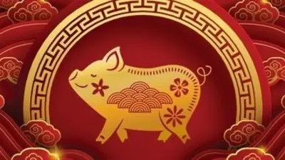 Horóscopo chino en abril 2024: cómo le va a ir al cerdo. Horóscopo chino en abril 2024: cómo le va a ir al cerdo.