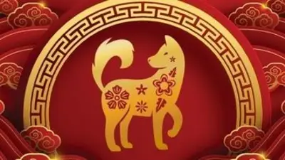 Horóscopo chino en abril 2024: cómo le va a ir al perro Horóscopo chino en abril 2024: cómo le va a ir al perro