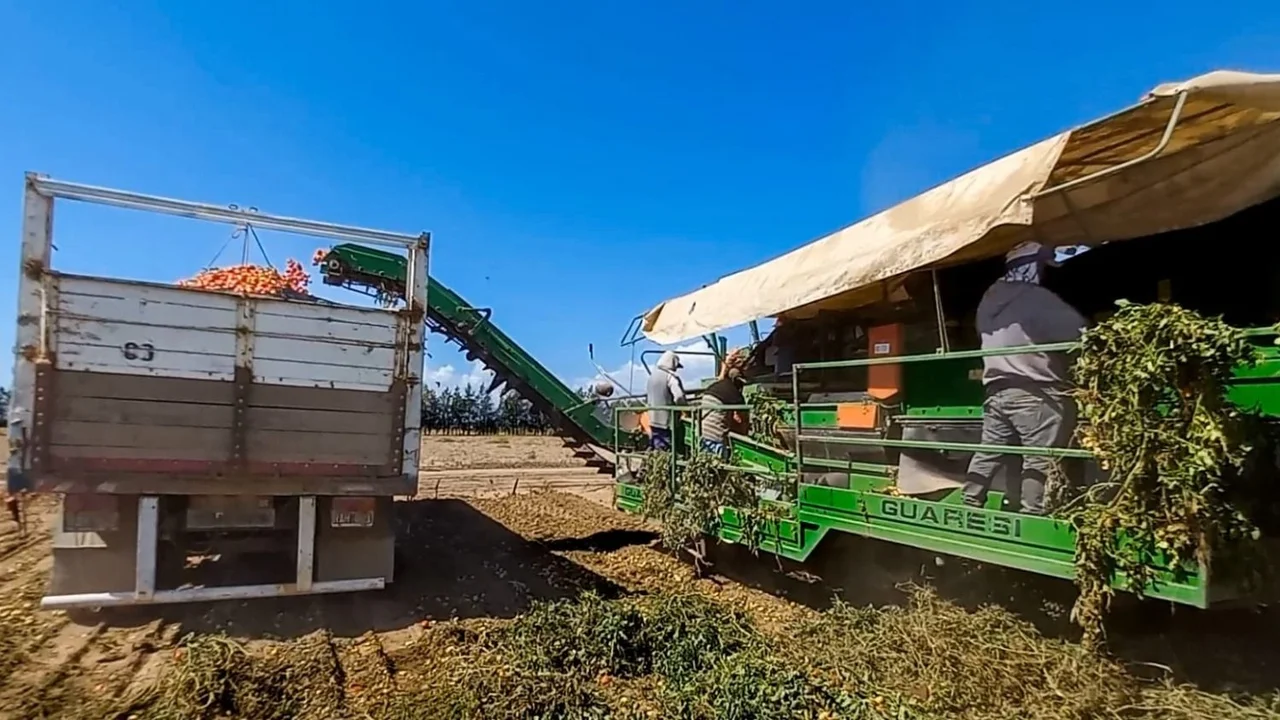 Cómo es el trabajo de AgroAndina, la empresa riojana que bate récords en medio de la crisis
