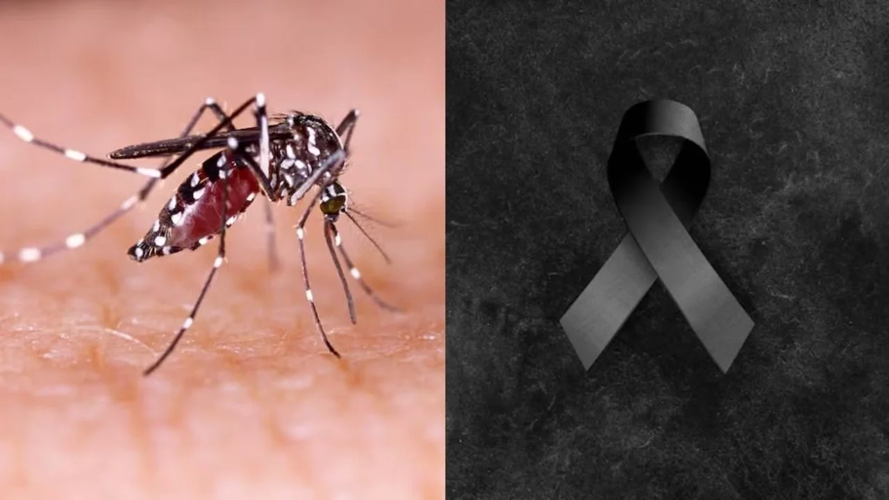 Dengue