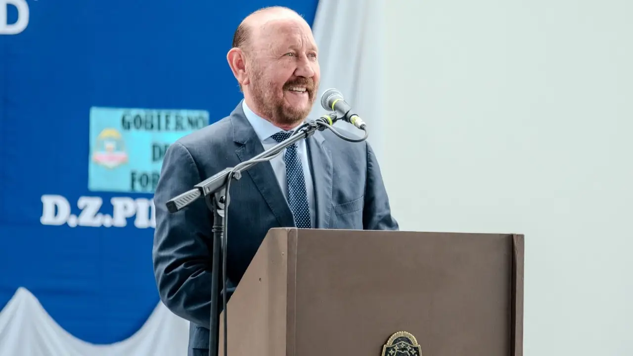 Reelección de Insfrán: aseguran que la oposición busca un "atajo político"