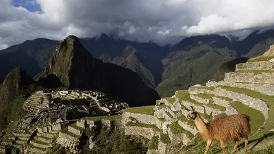 Perú decide salvaguardar el turismo y revoca decisión de exigir visas a ciudadanos mexicanos Perú decide salvaguardar el turismo y revoca decisión de exigir visas a ciudadanos mexicanos