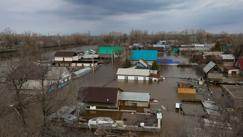 "Somos como el Arca de Noé", dice refugio de animales en una ciudad rusa inundada