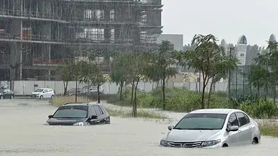 Al menos un muerto tras las fuertes lluvias que provocaron inundaciones repentinas en EAU Al menos un muerto tras las fuertes lluvias que provocaron inundaciones repentinas en EAU