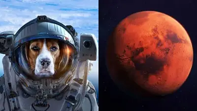 Un perro con un traje de astronauta y Marte Un perro con un traje de astronauta y Marte