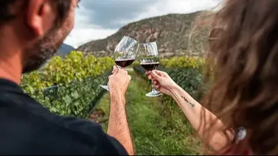 Semana del Malbec en La Rioja: conocé los mejores sabores vinícolas de la región Semana del Malbec en La Rioja: conocé los mejores sabores vinícolas de la región