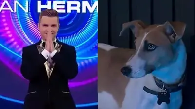 Arturo. Gran Hermano Arturo. Gran Hermano