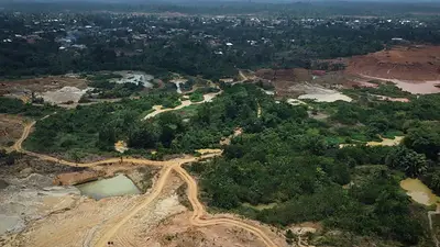 El cultivo de cacao en Liberia amenaza con socavar la legislación de la UE sobre deforestación El cultivo de cacao en Liberia amenaza con socavar la legislación de la UE sobre deforestación