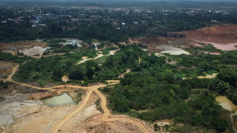 El cultivo de cacao en Liberia amenaza con socavar la legislación de la UE sobre deforestación