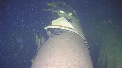 El gasoducto Balticconnector vuelve a funcionar tras los daños sufridos El gasoducto Balticconnector vuelve a funcionar tras los daños sufridos