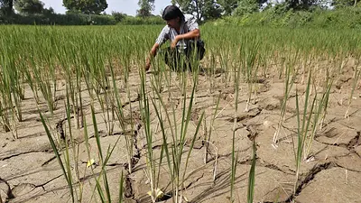 Los trabajadores corren cada vez más riesgos con el cambio climático, según la OIT Los trabajadores corren cada vez más riesgos con el cambio climático, según la OIT