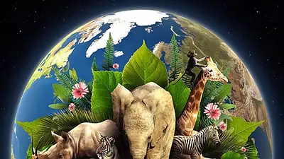 El Día de la Tierra sirve para advertir sobre las consecuencias de la contaminación El Día de la Tierra sirve para advertir sobre las consecuencias de la contaminación