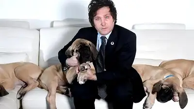 Perros de Javier Milei Perros de Javier Milei
