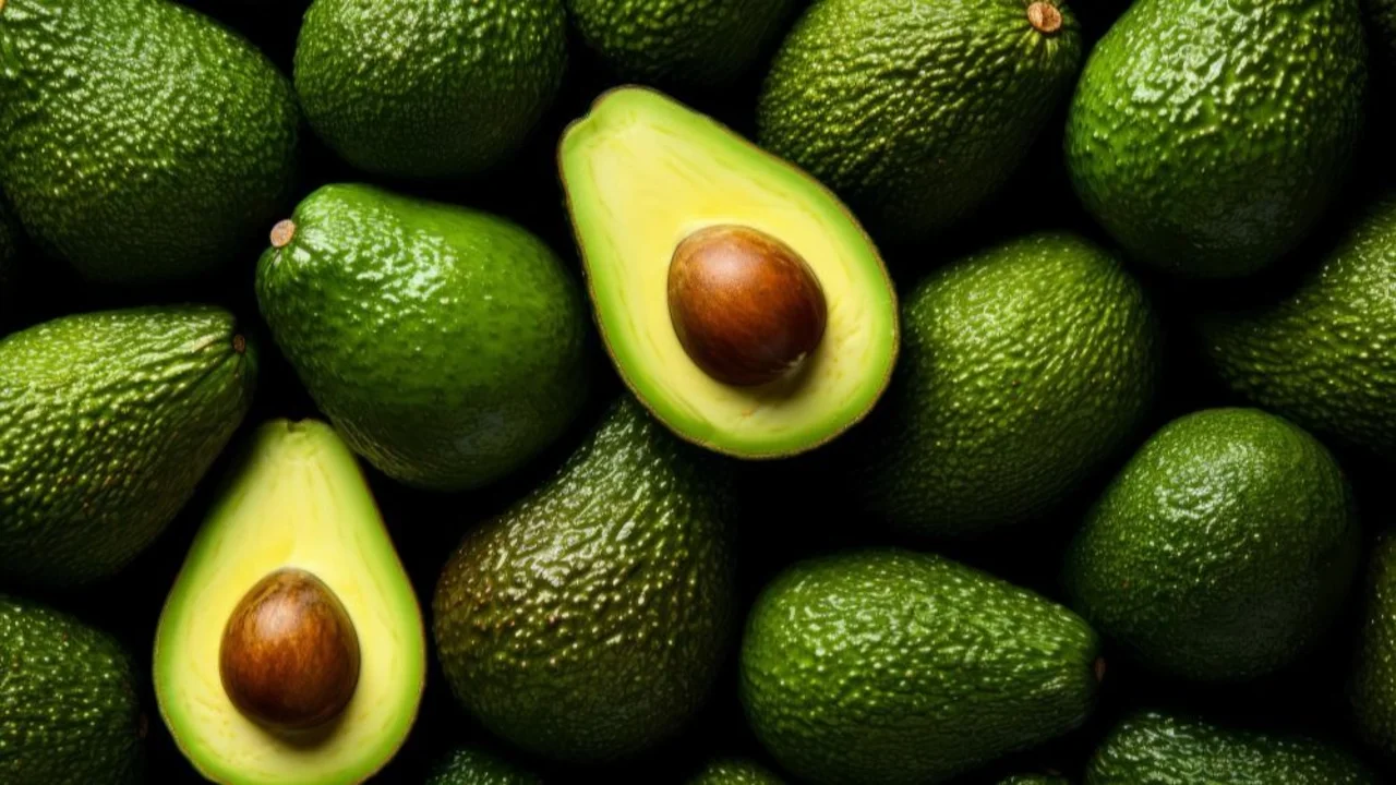 palta, comida, fruta, desayunos