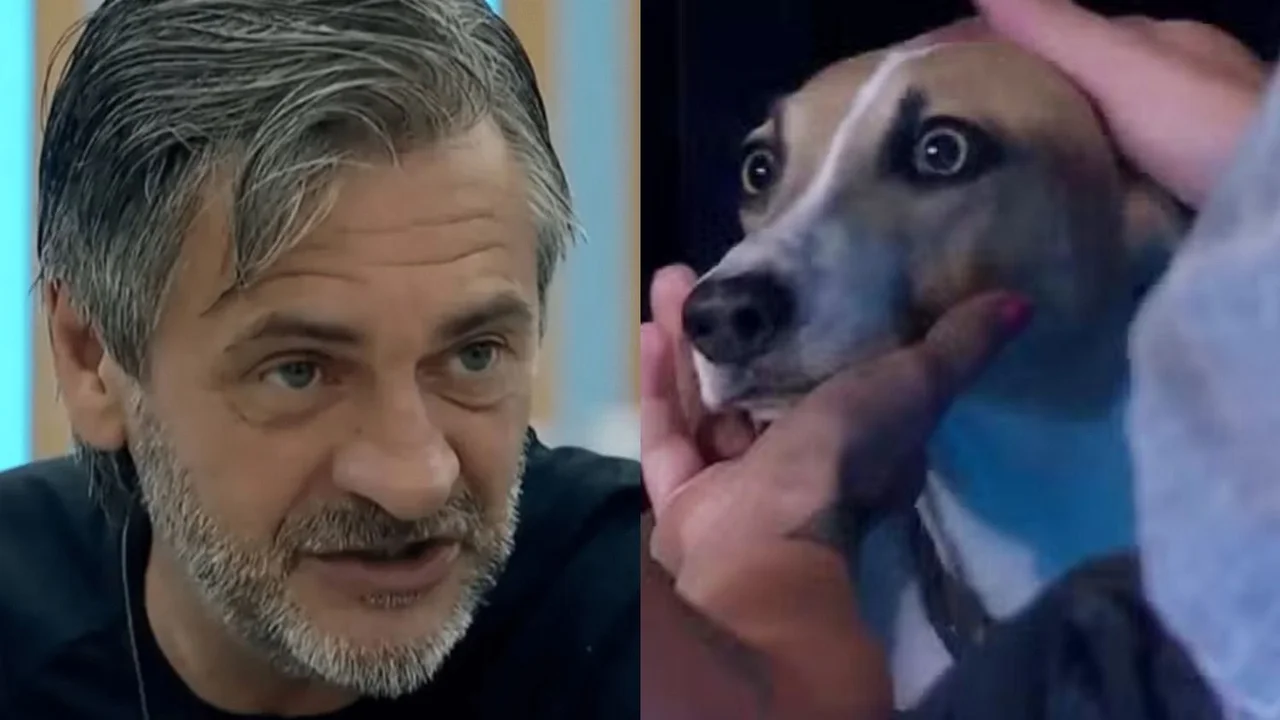 Darío Arturo perro Gran Hermano
