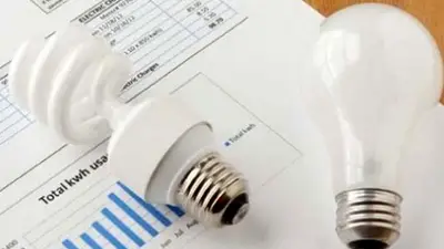Tarifa eléctrica: los detalles de los plazos, montos y requisitos para gestionar el subsidio Tarifa eléctrica: los detalles de los plazos, montos y requisitos para gestionar el subsidio