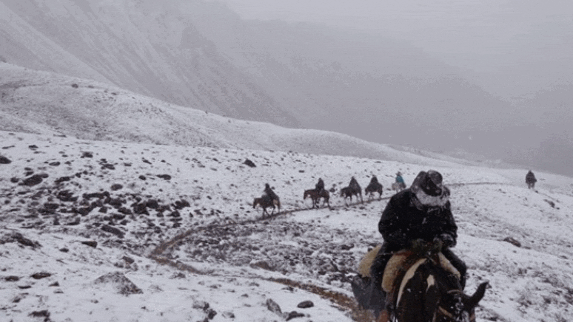 Tres generaciones y un desafío familiar: cruzar los Andes a caballo