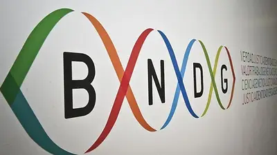 Ley Ómnibus: alertan que el texto podría disolver un organismo clave para recuperar la identidad de hijos de desaparecidos Ley Ómnibus: alertan que el texto podría disolver un organismo clave para recuperar la identidad de hijos de desaparecidos