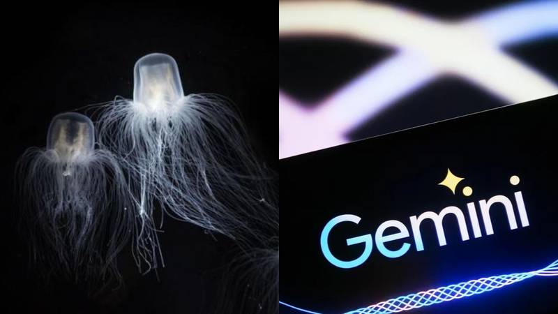 Medusas y el logo de Gemini