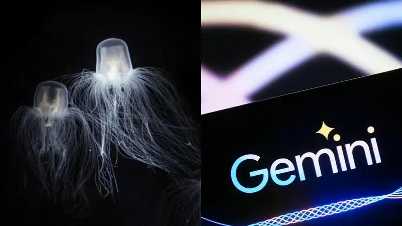 Medusas y el logo de Gemini