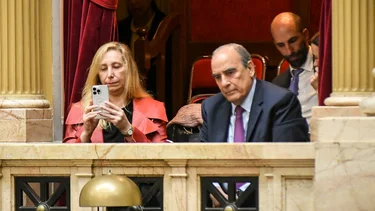 Ficha limpia: Doble maniobra del gobierno para salvar a Karina