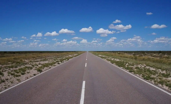 Córdoba: una mujer murió en la ruta tras chocar su auto contra un camión  | Accidentes viales