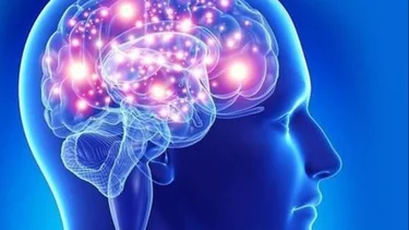 ¿Tenés un cerebro viejo? La prueba casera de reflejos y tiempos de reacción para saberlo