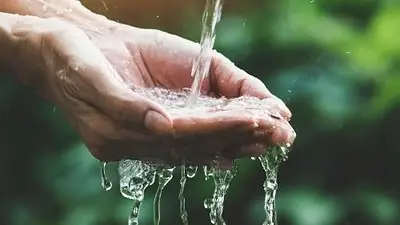cuidar el agua. cuidar el agua.