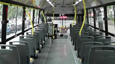 Colectivo Colectivo