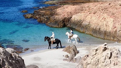 Playas paradisíacas en Argentina. Dónde queda Bahía Bustamante. Qué hacer en Bahía Bustamante. Playas de Bahía Bustamante. Playas paradisíacas en Argentina. Dónde queda Bahía Bustamante. Qué hacer en Bahía Bustamante. Playas de Bahía Bustamante.