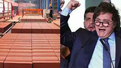 Ladrillos y Javier Milei Ladrillos y Javier Milei