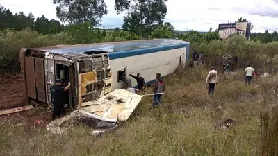 Tragedia en Misiones: siete trabajadores murieron tras despistar micro en ruta nacional Tragedia en Misiones: siete trabajadores murieron tras despistar micro en ruta nacional