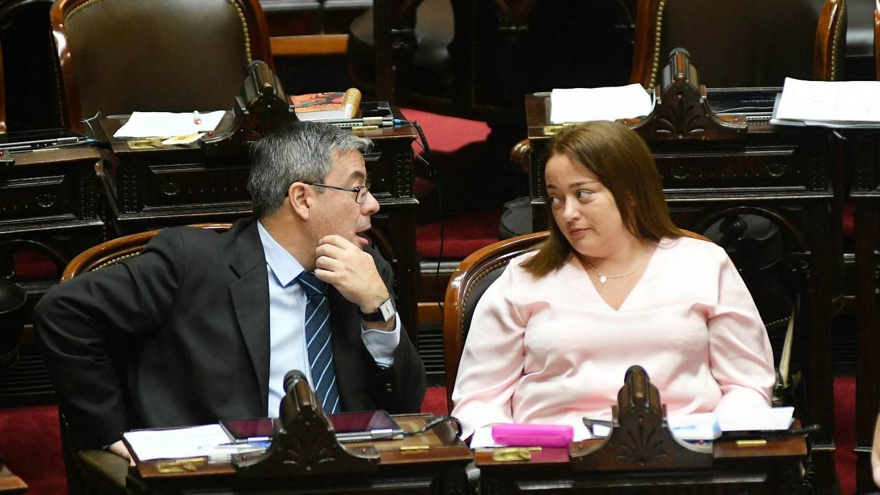 Comisión investigadora: la oposición se organiza para convocar a Mark Davids y damnificados por la estafa