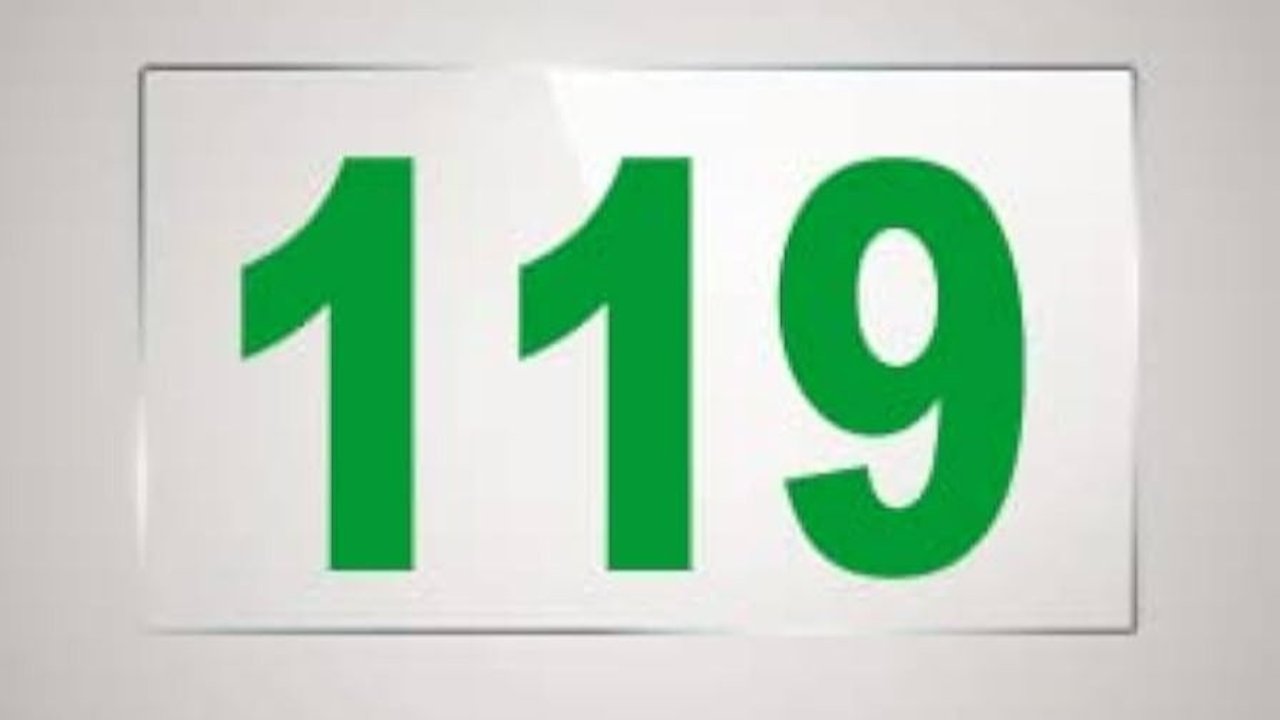 Numerología 119