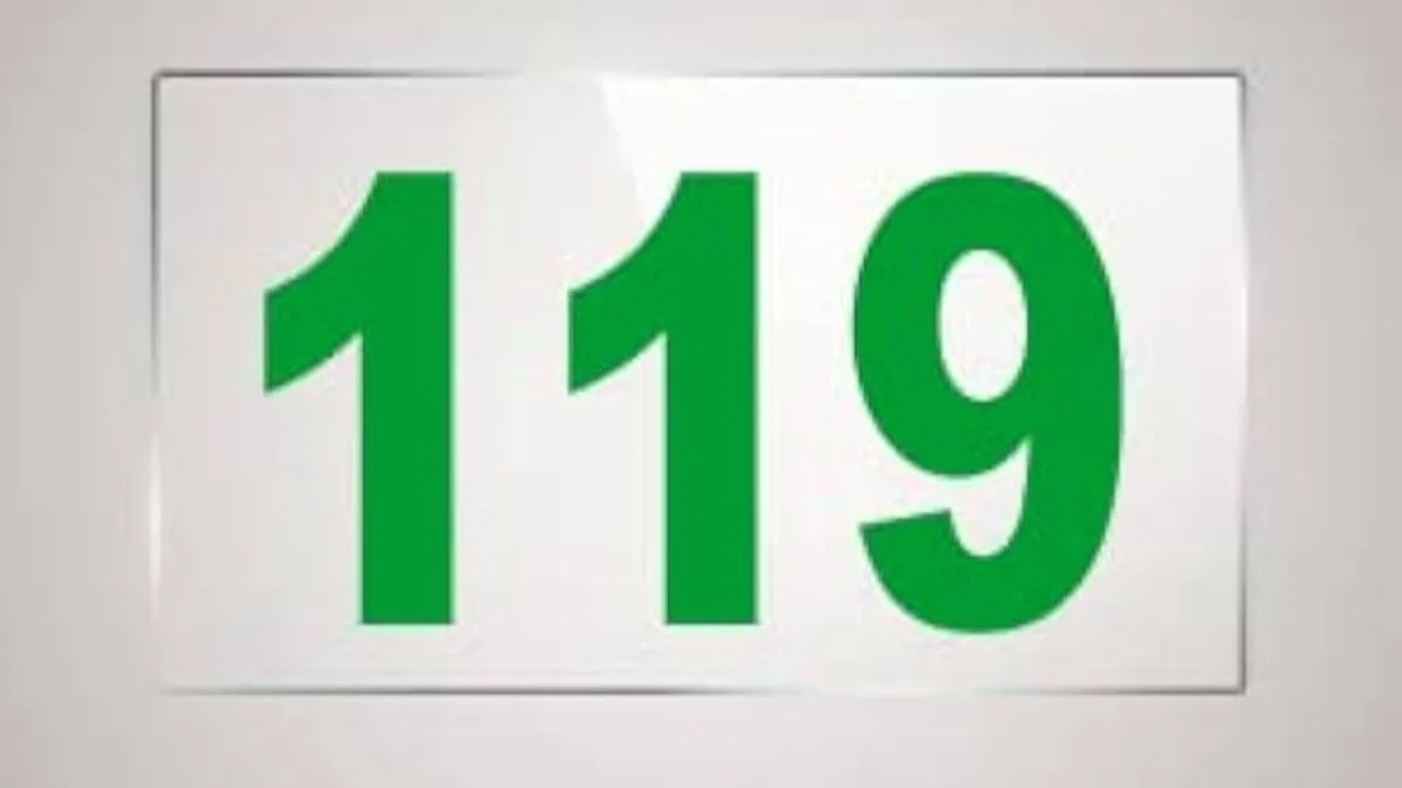 Numerología 119