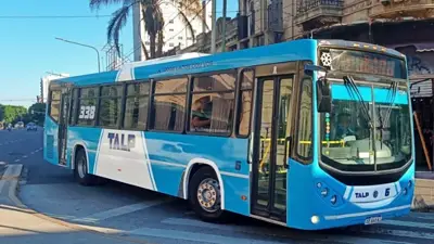 Colectivo Colectivo