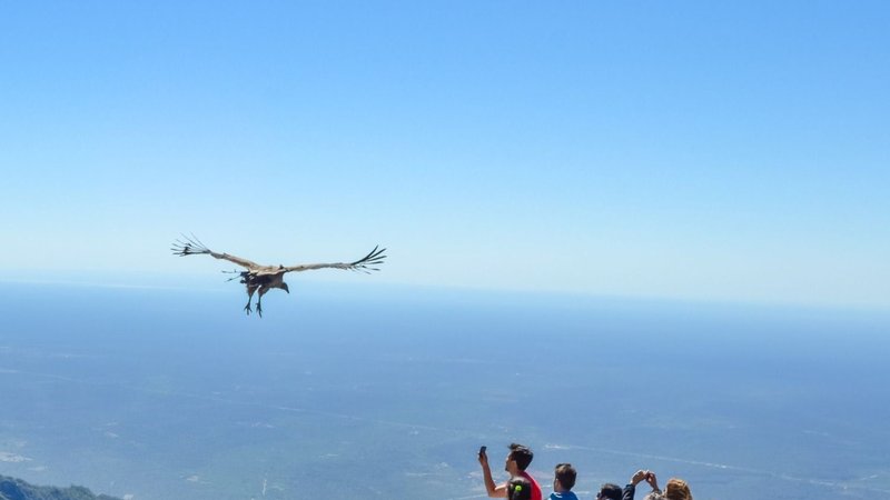 Semana Santa con aires riojanos: conocé los cuatro destinos imperdibles para visitar la provincia