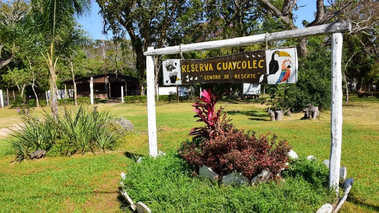 Formosa en Semana Santa: la Reserva Guaycolec abre sus puertas este fin de semana largo para disfrutar en familia