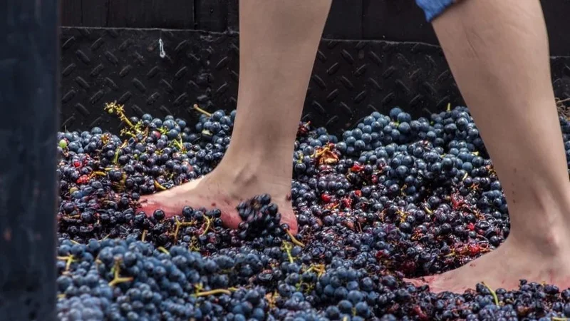 Sabores y tradición: La Rioja ofrece experiencias enoturísticas durante Semana Santa