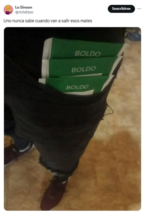 mate, yerba mate, boldo, 